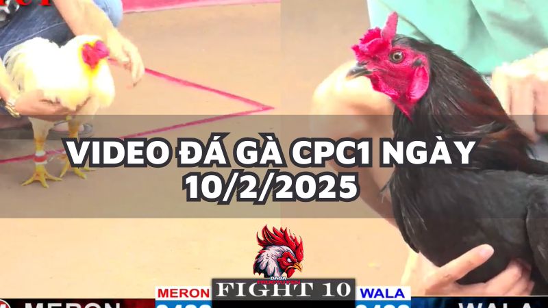 da-ga-cpc1-10-2-25