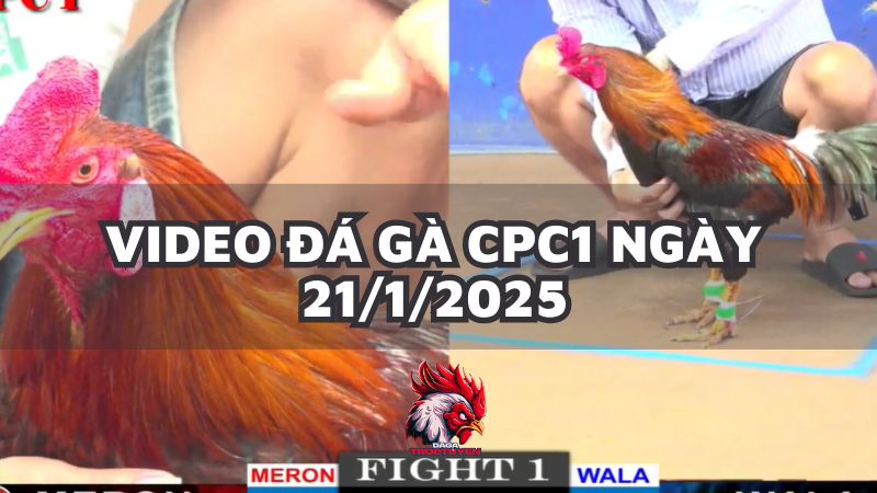 da-ga-cpc1-21-1-25