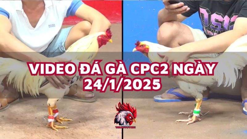 da-ga-cpc2-24-1-25