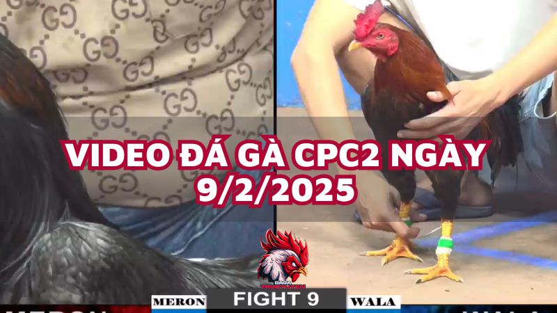 da-ga-cpc2-9-2-25