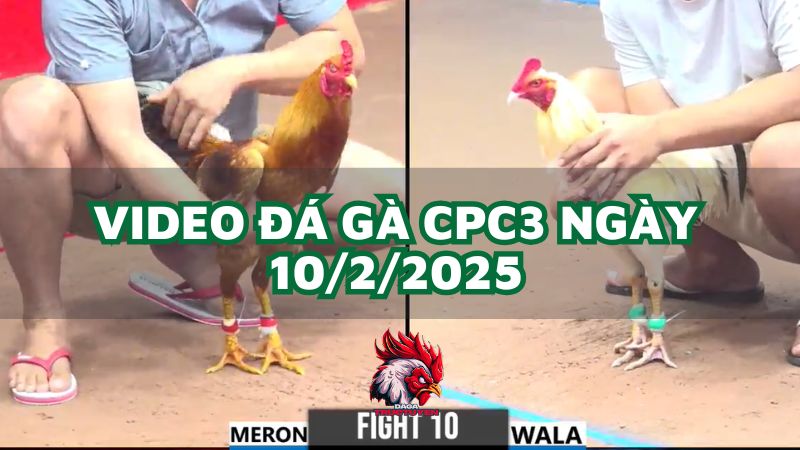 da-ga-cpc3-10-2-2025