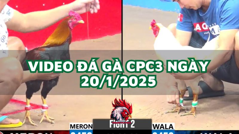 da-ga-cpc3-20-1-2025