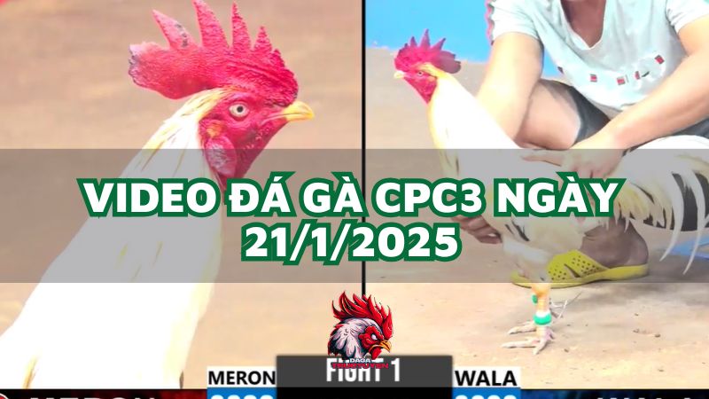 da-ga-cpc3-21-1-2025