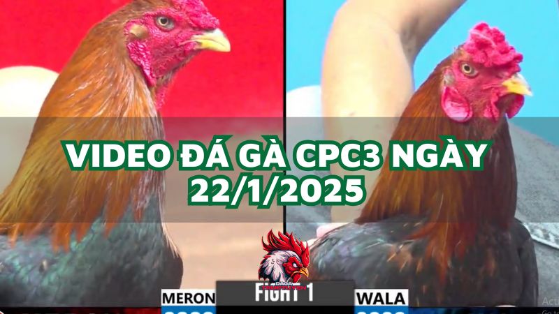 da-ga-cpc3-22-1-2025