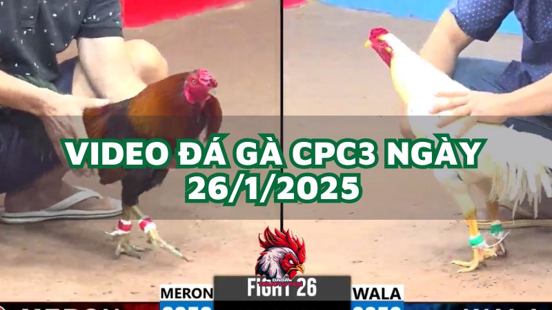 da-ga-cpc3-26-1-2025