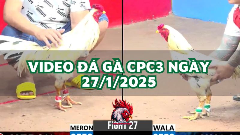 da-ga-cpc3-27-1-2025