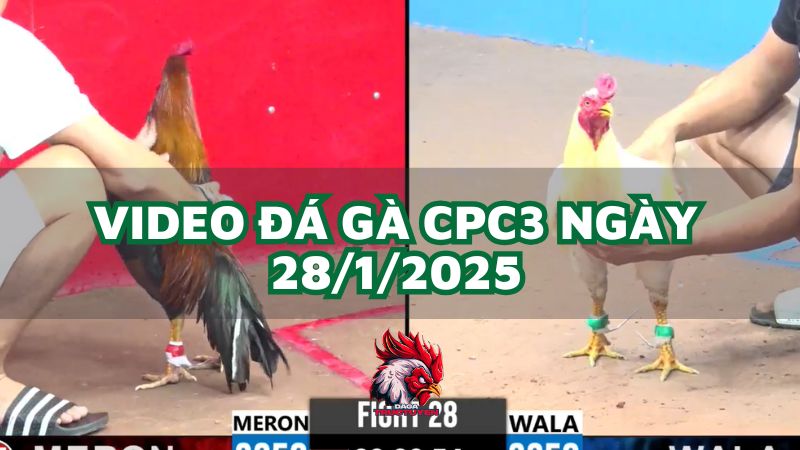 da-ga-cpc3-28-1-2025