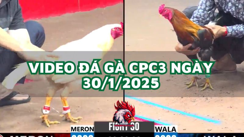 da-ga-cpc3-30-1-2025