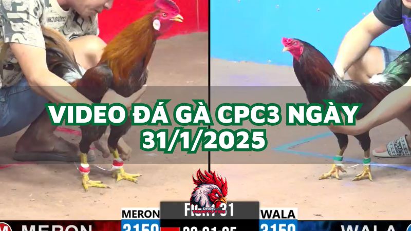 da-ga-cpc3-31-1-2025 (1)