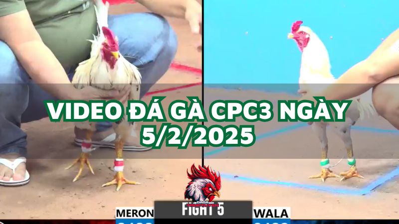 da-ga-cpc3-5-2-2025