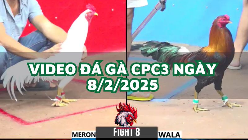 da-ga-cpc3-8-2-2025