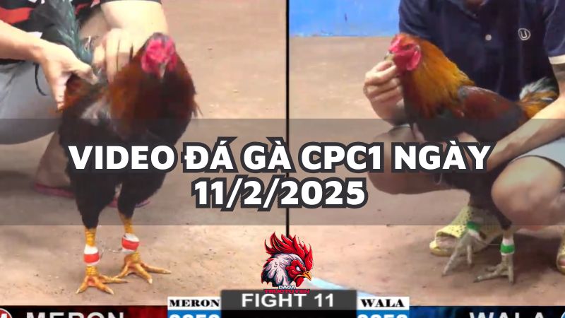 da-ga-cpc1-11-2-25