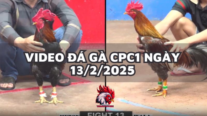 da-ga-cpc1-13-2-25