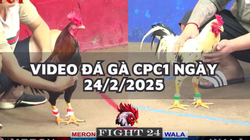 da-ga-cpc1-24-2-25