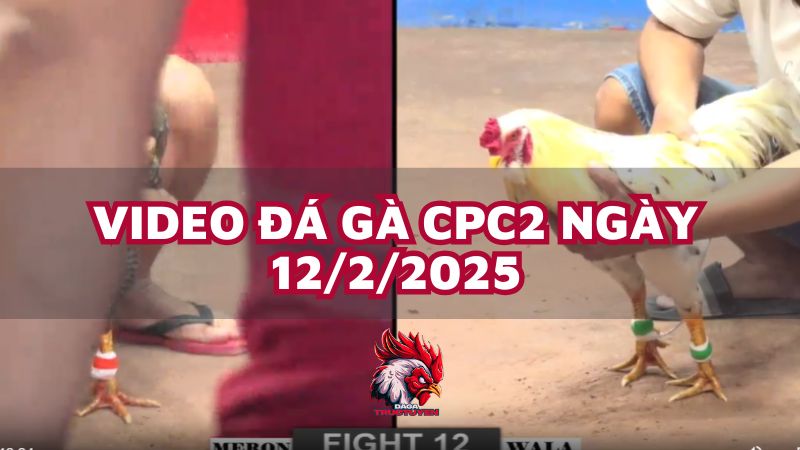 da-ga-cpc2-12-2-25