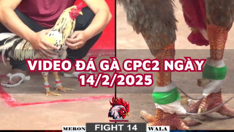 da-ga-cpc2-14-2-25