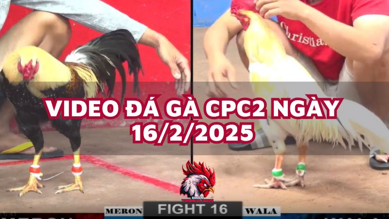 da-ga-cpc2-16-2-25