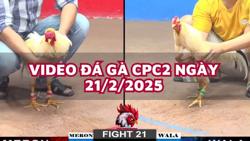 da-ga-cpc2-21-2-25