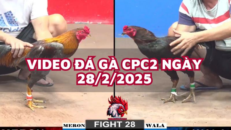 da-ga-cpc2-28-2-25