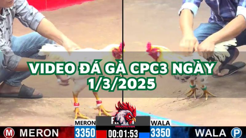 da-ga-cpc3-1-3-2025