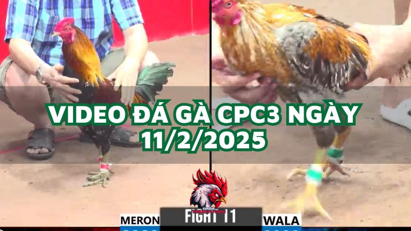 da-ga-cpc3-11-2-2025