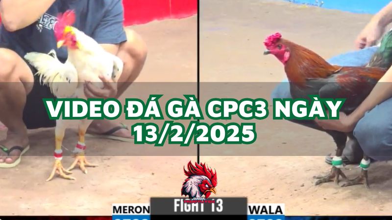 da-ga-cpc3-13-2-2025