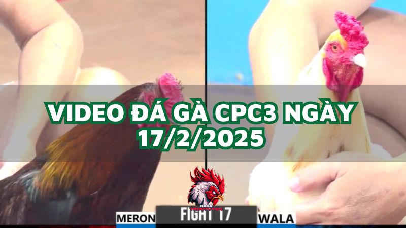 da-ga-cpc3-17-2-2025