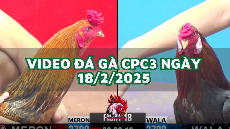 da-ga-cpc3-18-2-2025