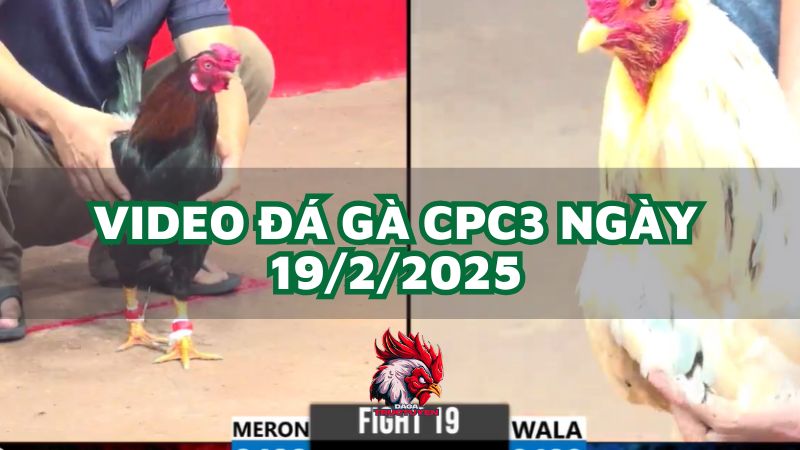 da-ga-cpc3-19-2-2025