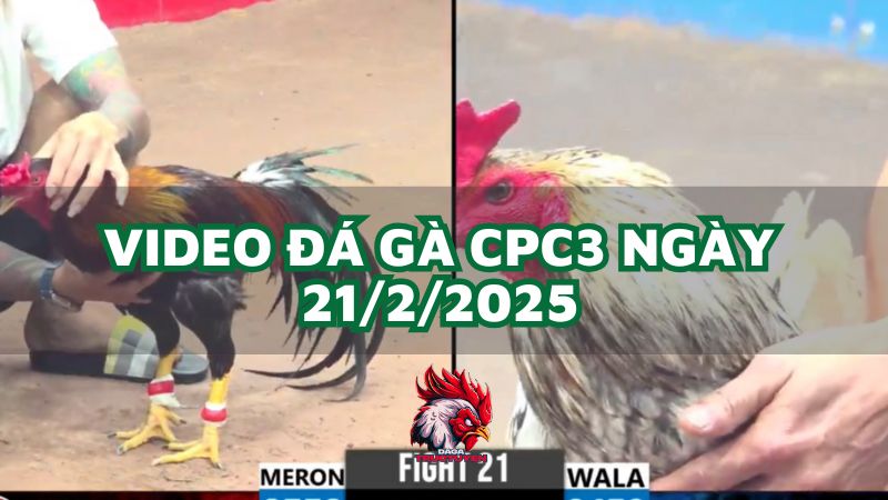 da-ga-cpc3-21-2-2025