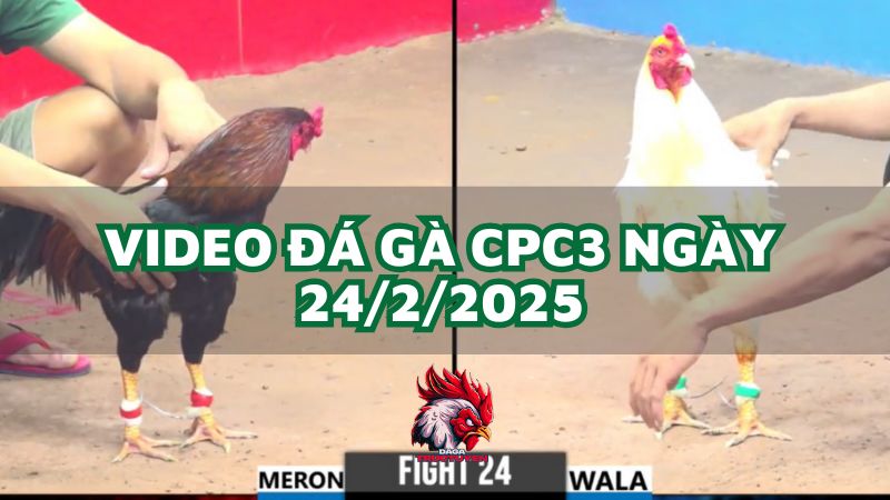 da-ga-cpc3-24-2-2025