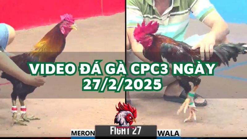 da-ga-cpc3-27-2-2025