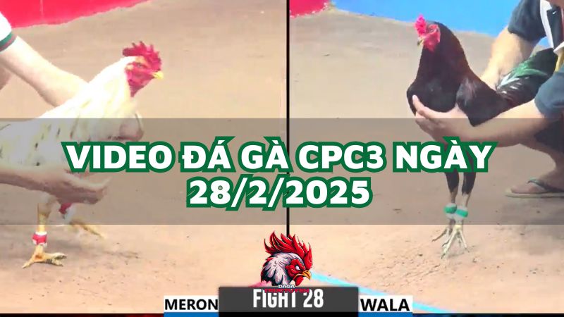 da-ga-cpc3-28-2-2025