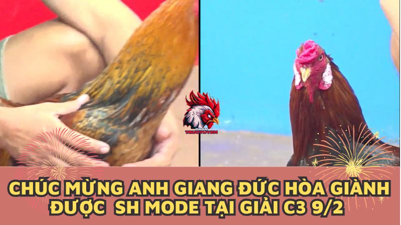 giang-duc-hoa-sh-mode-9-2