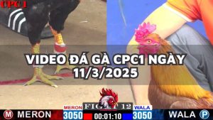 da-ga-cpc1-11-3-25