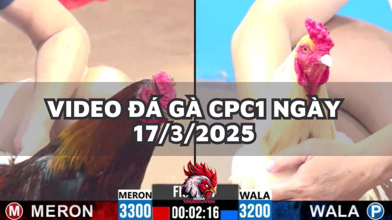 da-ga-cpc1-17-3-25