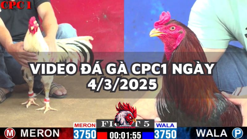 da-ga-cpc1-4-3-25