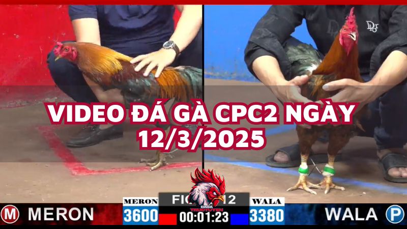 da-ga-cpc2-12-3-25