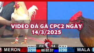 da-ga-cpc2-14-3-25