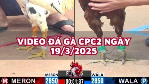 da-ga-cpc2-19-3-25