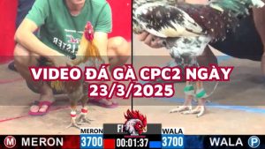 da-ga-cpc2-23-3-25