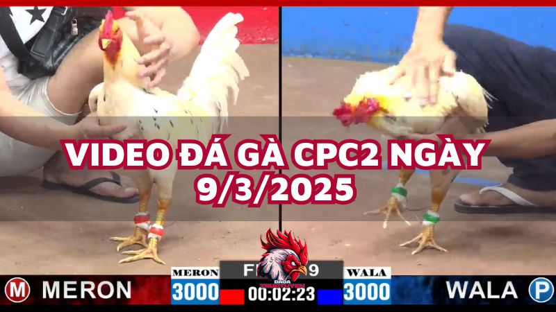 da-ga-cpc2-9-3-25