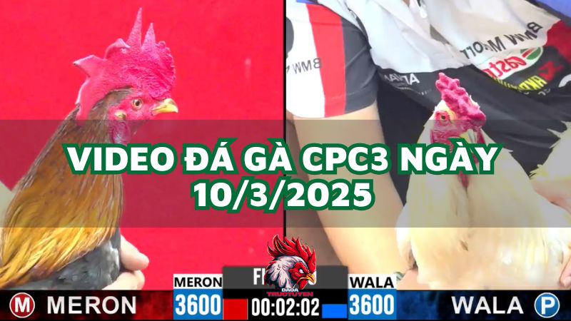 da-ga-cpc3-10-3-2025