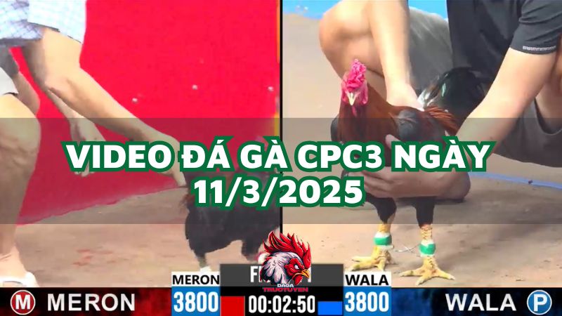 da-ga-cpc3-11-3-2025