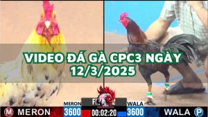 da-ga-cpc3-12-3-2025