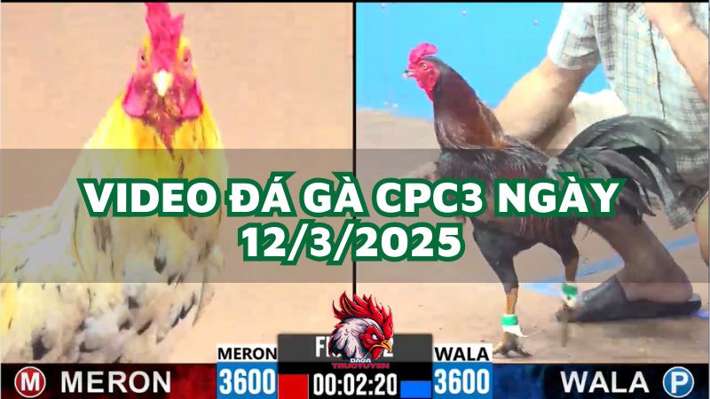 da-ga-cpc3-12-3-2025