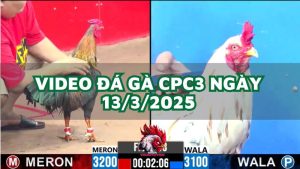 da-ga-cpc3-13-3-2025