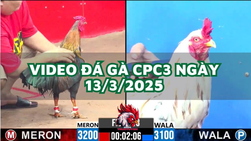 da-ga-cpc3-13-3-2025