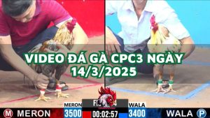 da-ga-cpc3-14-3-2025