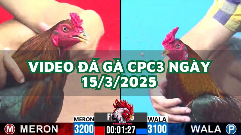 da-ga-cpc3-14-3-2025